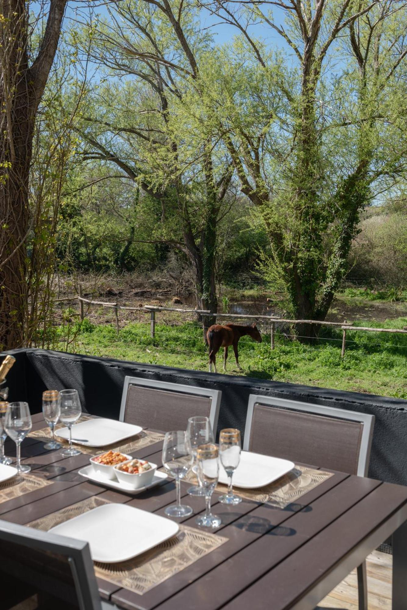 La Baule Terrasse - Cuisine - Calme - Wifi - Parking Gratuit Apartment Pornichet
